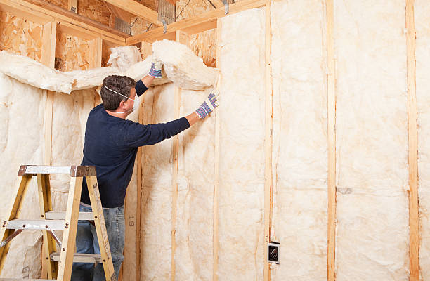 Best Wall Insulation Installation in Milan, NM